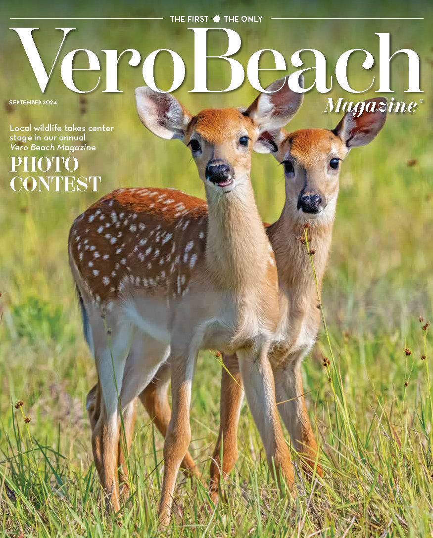 Indian River Insights from Vero Beach Magazine